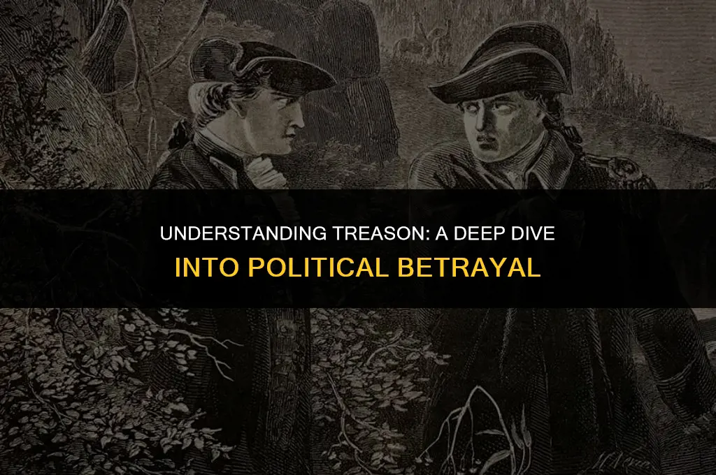 what does treason mean in politics