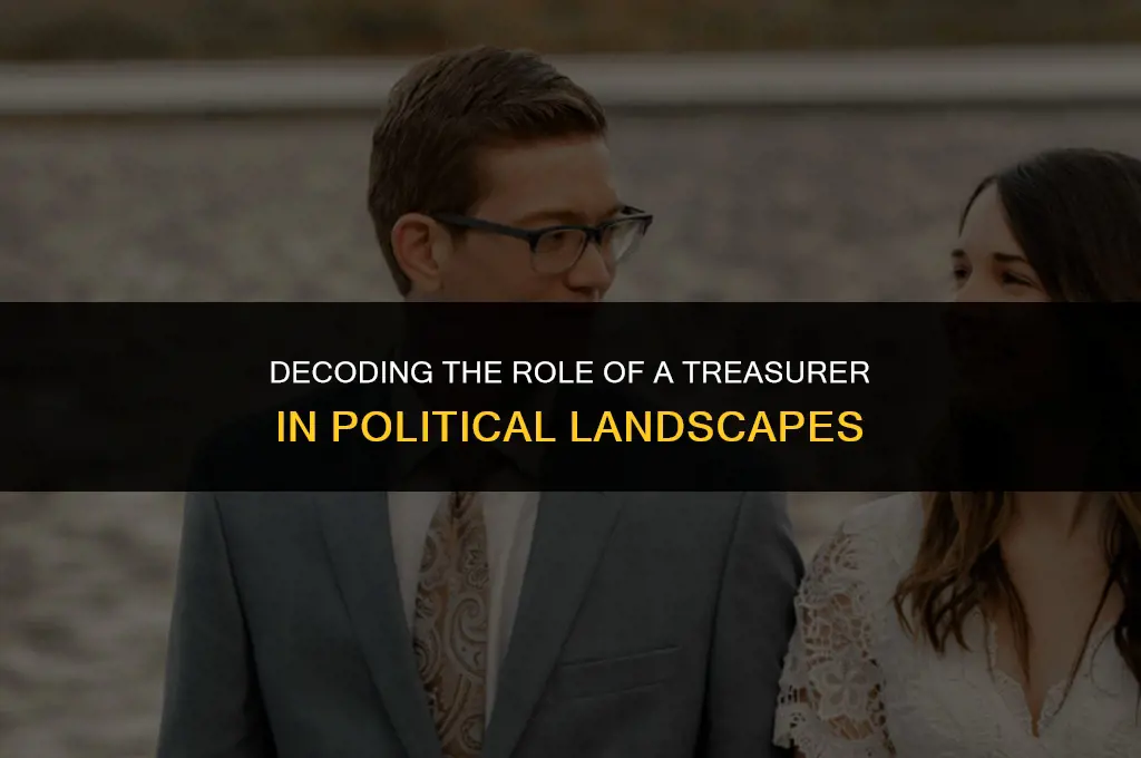 what does treasurer mean in politics