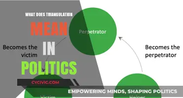 Decoding Triangulation: A Strategic Maneuver in Political Playbooks