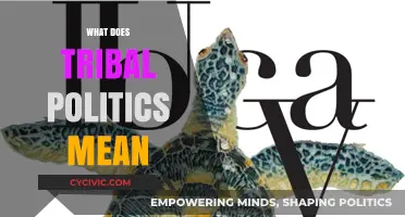 Decoding Tribal Politics: A Deep Dive into Divisive Dynamics