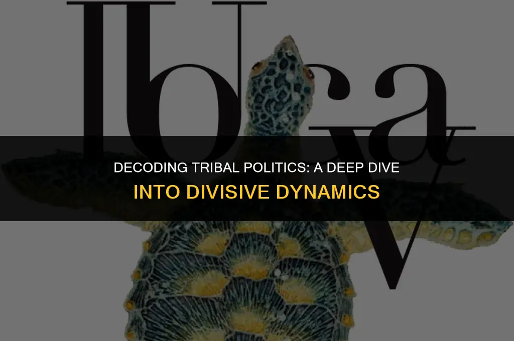 what does tribal politics mean