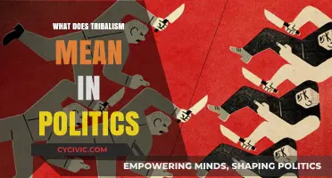 Decoding Tribalism: How Political Loyalties Shape Our Worldview