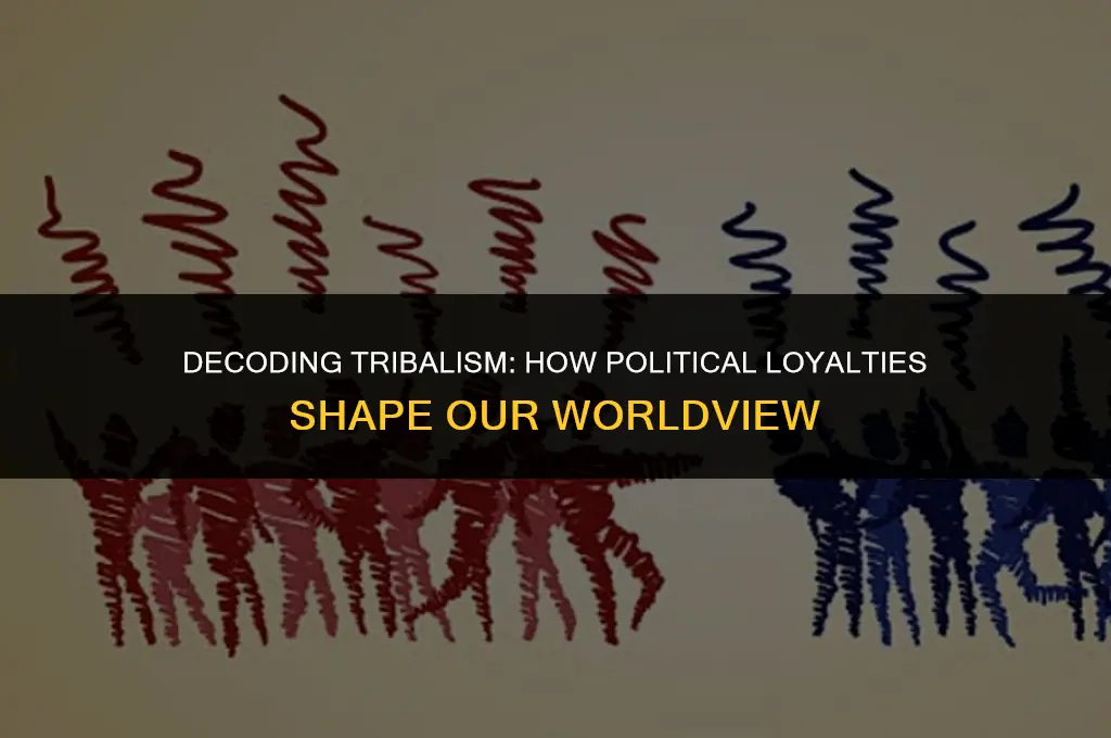 what does tribalism mean in politics