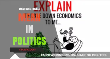 Decoding the Political Jargon: What Does 'Trickle' Really Mean?