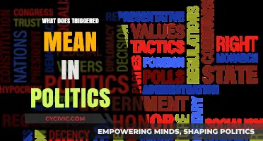 Decoding Political Triggers: A Comprehensive Guide to Understanding