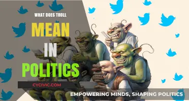 Decoding Political Trolling: A Guide to Online Provocation in Politics