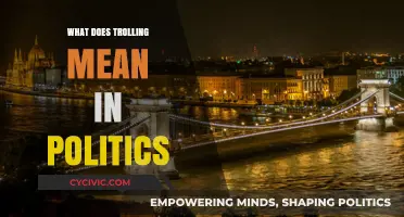 Decoding Political Trolling: A Guide to Online Provocation in Politics