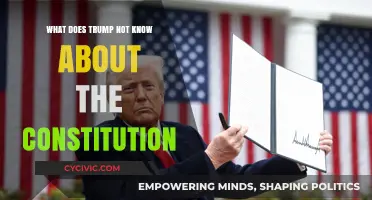 Trump's Constitutional Blind Spots