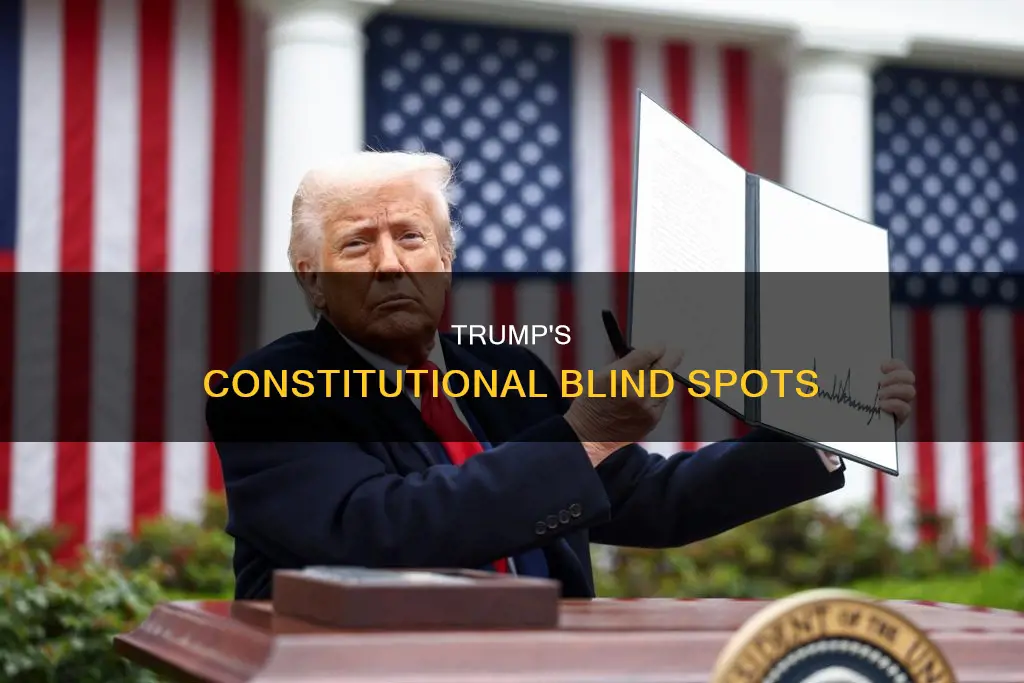 what does trump not know about the constitution