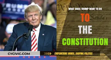 Trump's Constitution: Radical Changes or Empty Promises?