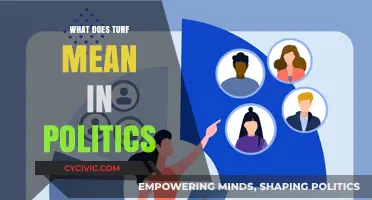 Decoding Political Jargon: What's the Deal with "Turf"?