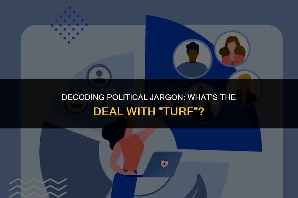 what does turf mean in politics