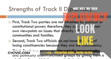 Two-Track Diplomacy: Strategies for Navigating Complex Geopolitical Landscapes