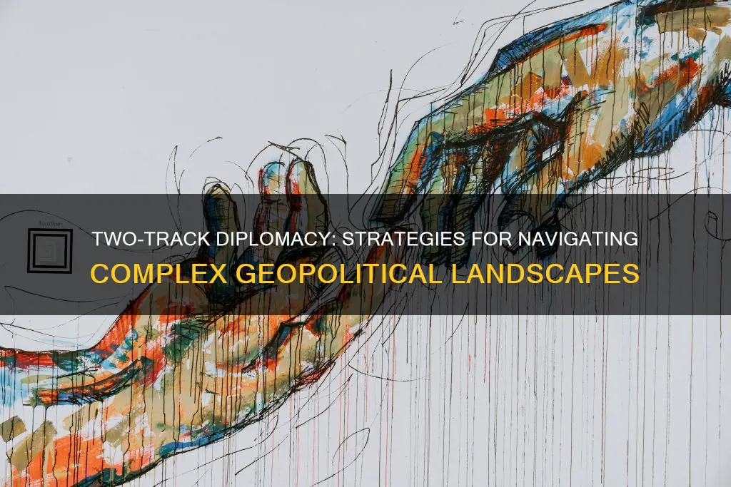 what does two track diplomacy look like
