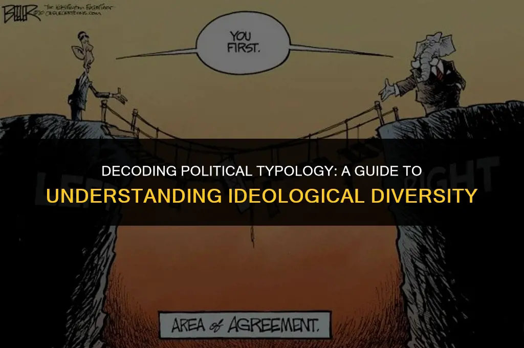 what does typology mean in politics