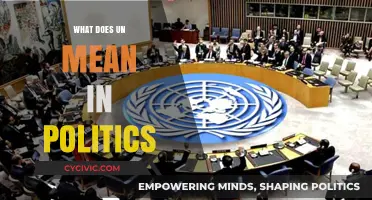 Decoding the UN: Understanding its Role in Global Politics