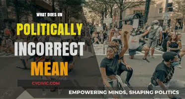 Decoding Un-Political Correctness: A Guide to Navigating Modern Discourse