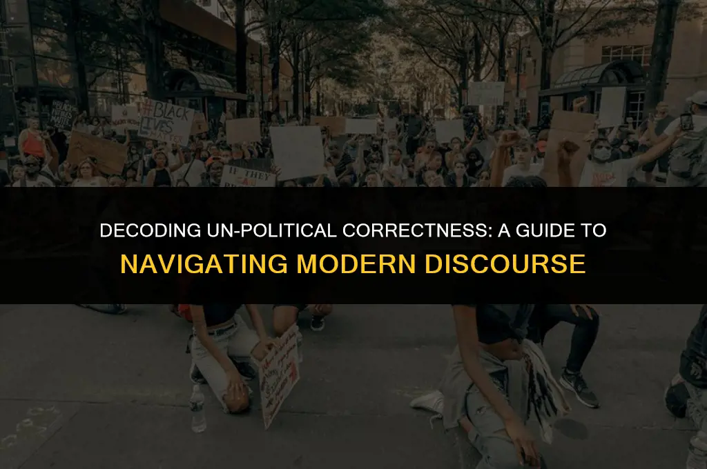 what does un politically incorrect mean