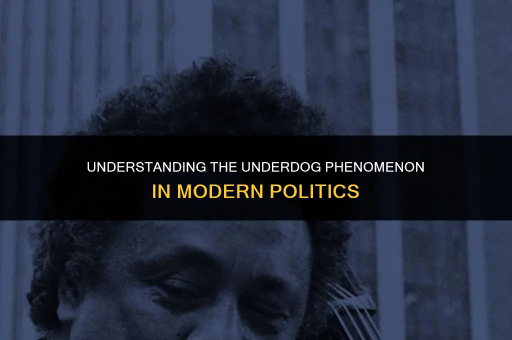 what does underdog mean in politics