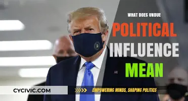 Decoding Undue Political Influence: A Comprehensive Guide