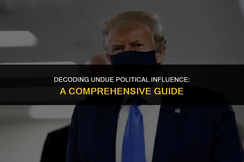 what does undue political influence mean