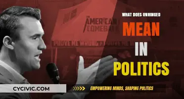 Decoding Political Jargon: What Does 'Unhinged' Really Mean?