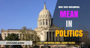 Understanding Unicameralism: A Simplified Guide to Single-Chamber Legislatures