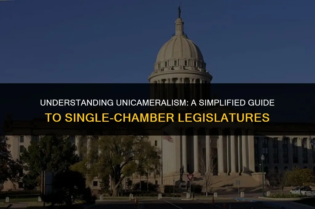 what does unicameral mean in politics