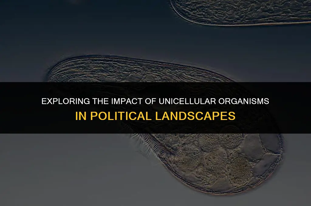 what does unicellular mean in politics