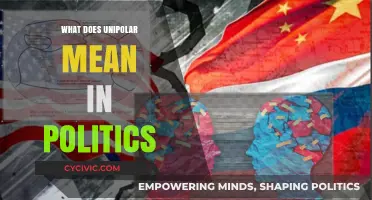 Understanding Unipolar Politics: A Comprehensive Guide to Global Power Dynamics