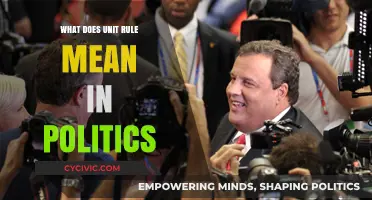 Decoding the Unit Rule: A Deep Dive into Political Dynamics