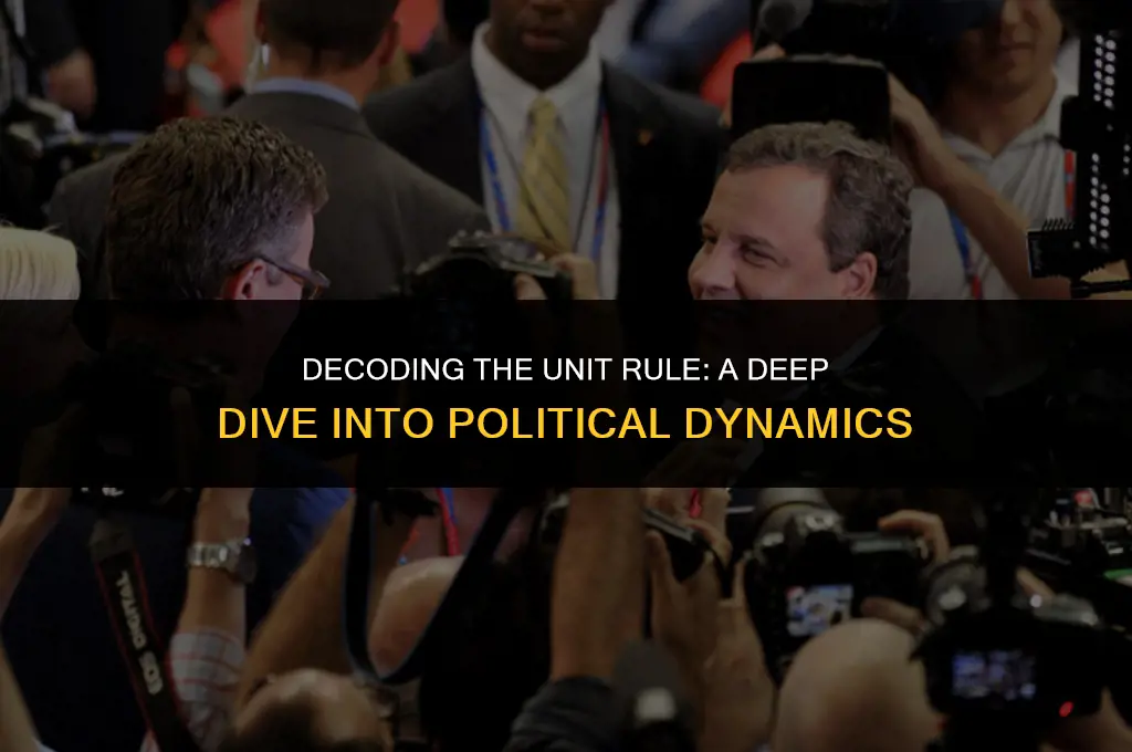 what does unit rule mean in politics