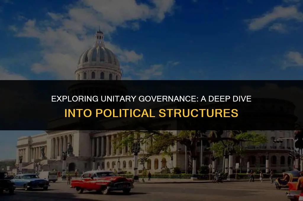 what does unitary mean in politics