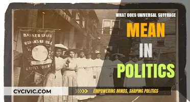 Empowering the Electorate: Understanding Universal Suffrage in Modern Politics