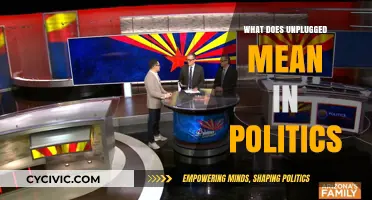Decoding 'Unplugged' in Politics: A Deep Dive into Modern Political Jargon
