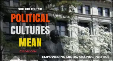 Exploring the Practical Implications of Political Cultures