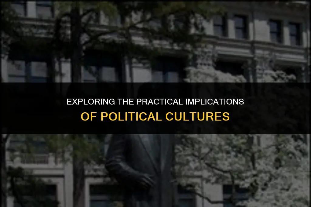 what does utility of political cultures mean