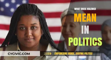 Decoding Political Valence: Understanding the Emotional Underpinnings of Policy Debates