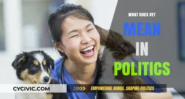 Decoding Political Jargon: What Does "Vet" Really Mean?