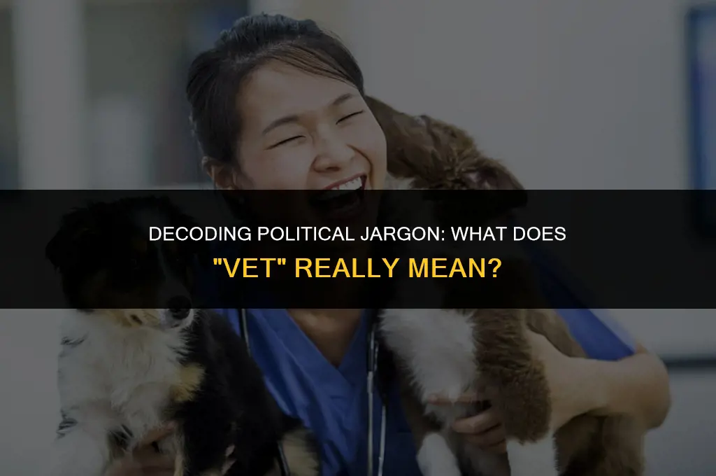 what does vet mean in politics