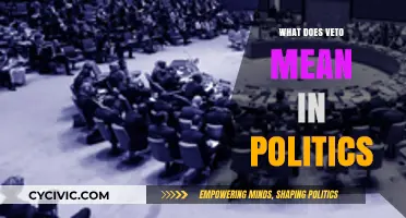 Decoding the Veto: A Deep Dive into Political Power Dynamics
