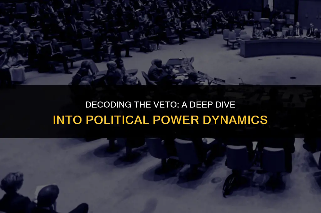 what does veto mean in politics