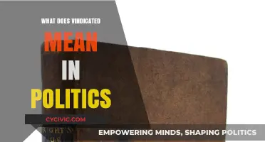 Unraveling Vindication: A Deep Dive into Political Accountability