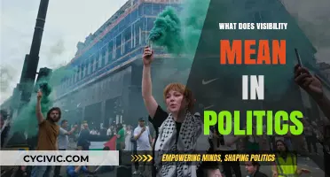 Unveiling the Power of Visibility in Political Arenas