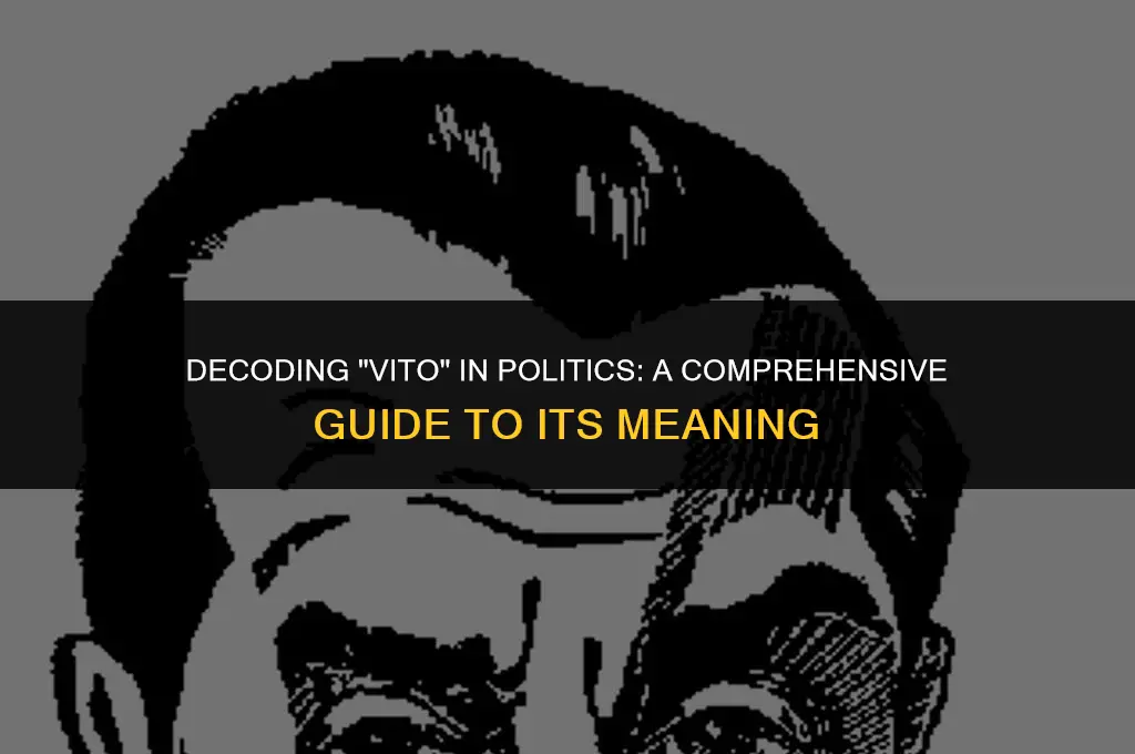 what does vito mean in politics