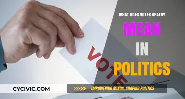 Understanding Voter Apathy: Causes and Consequences in Modern Politics