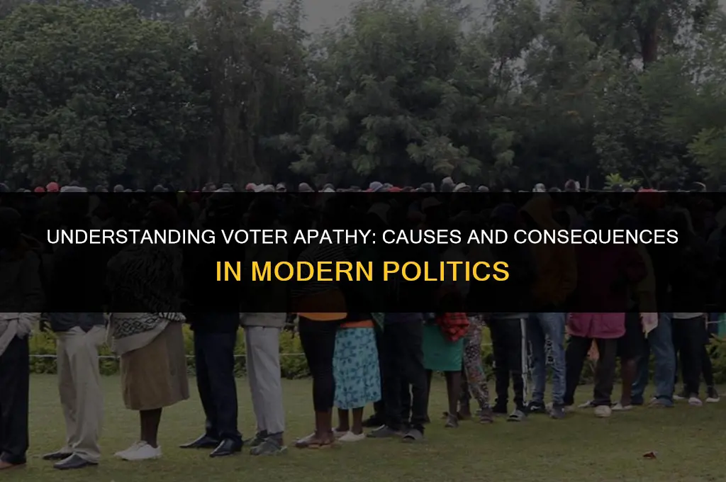 what does voter apathy mean in politics