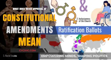 Constitutional Amendments: Voter Approval Explained