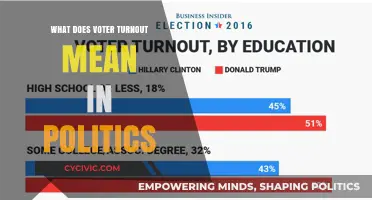 Decoding Voter Turnout: Understanding Its Impact on Politics