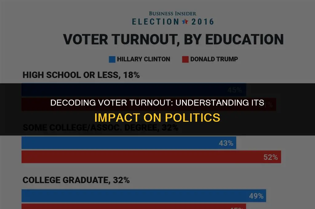 what does voter turnout mean in politics